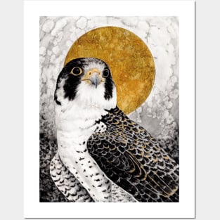 Peregrine falcon Watercolor at night sky Posters and Art